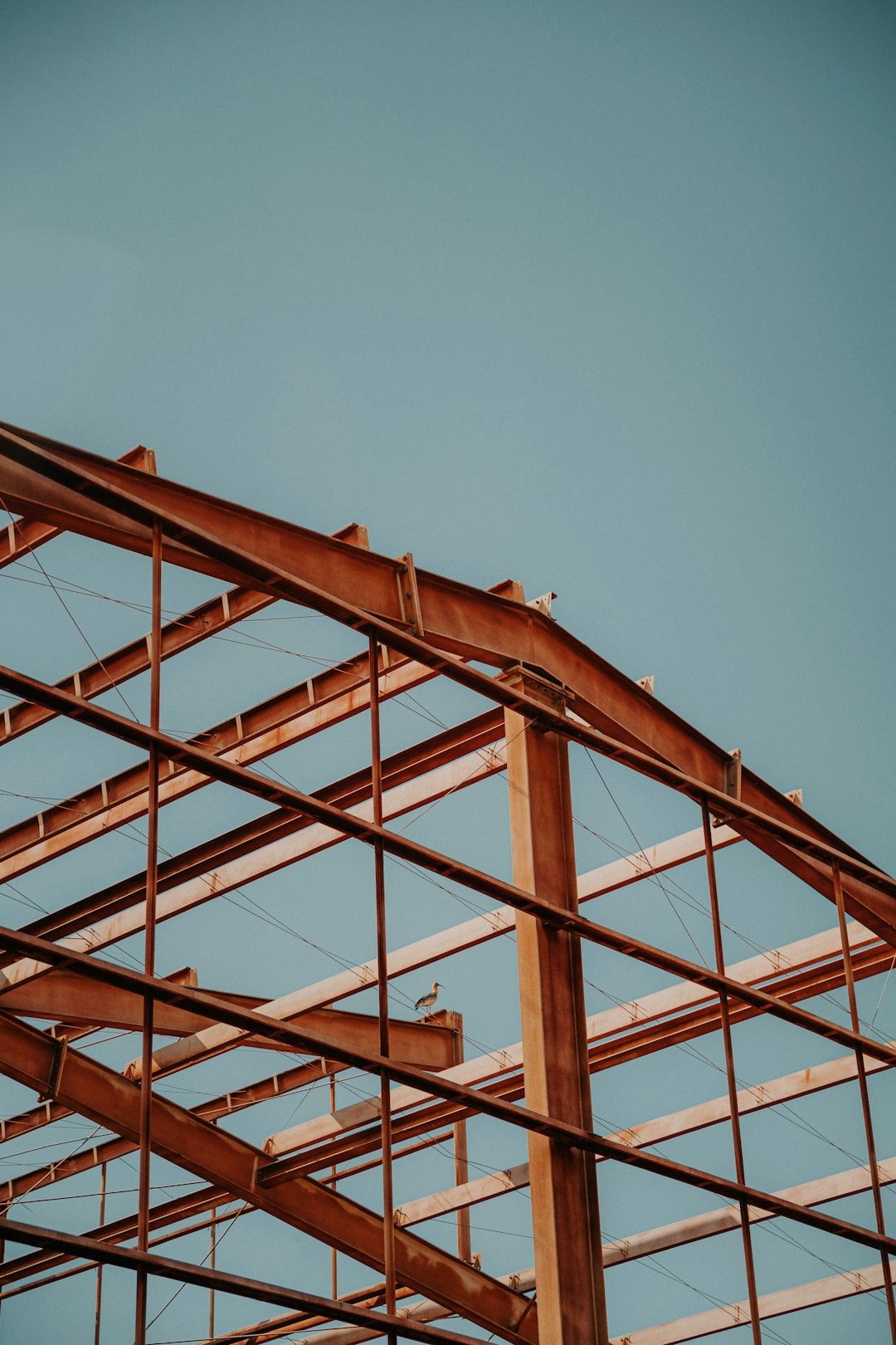 Rusty steel building skeleton with birds perched on beams.